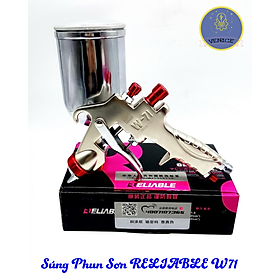 Mua Dụng cụ Phun Sơn W71-2G