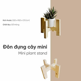 Đôn gỗ đựng cây cảnh mini để bàn đường kính 16cm lắp ghép đơn giản