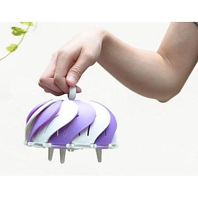 Mua Combo 2 Xửng Hấp  Rổ Đựng Trái Cây 3 Trong 1 Peacock