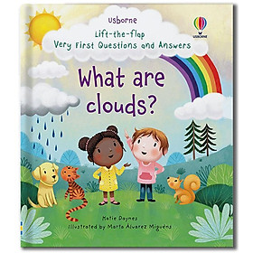 Lift-the-flap Very First Questions and Answers What are clouds?
