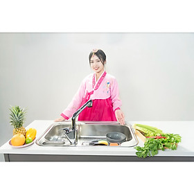 Mua Bồn rửa bát inox sus 304 Lizens ESCP 840L