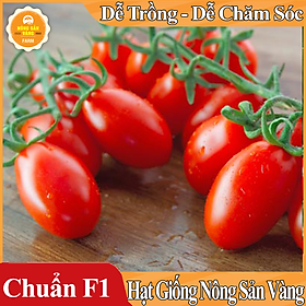 Hạt giống Cà Chua Cherry Đỏ ( Gói 20 hạt )