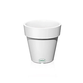 Chậu cây tự dưỡng Catleza D14