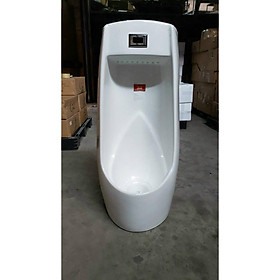 Mua Tiểu  nam cảm ứng