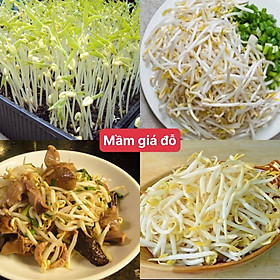 Mua Hạt giống mầm giá đậu xanh ( giá đỗ ) gói 500 hạt siêu dễ trồng kháng bệnh tốt năng suất cao cửa hàng hạt giống uy tín