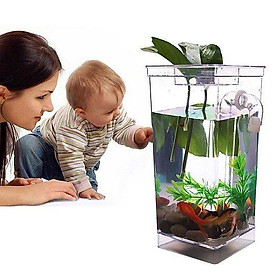 Mua Bể Cá Mini Tự Làm Sạch Có Vòi My Fun Fish 26x13cm
