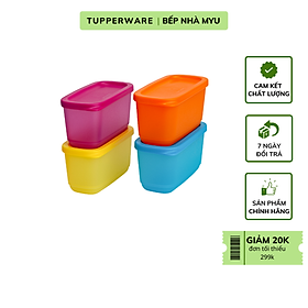 Mua Bộ hộp Tupperware Mini Rectangular 250ml (4 Hộp)