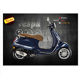 Decal dán xe Vespa AMG Lx 125, Lx 150, Sprint, Primavera nhiều màu