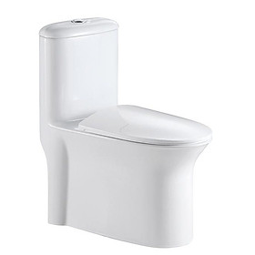 Mua BỒN CẦU NẮP VÒM R0893