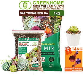 Đất Trồng Sen Đá Greenhome, Bao 1kg, Soil Mix, Trộn Sẵn, Tiện Lợi, Đầy Đủ Dinh Dưỡng, Thoát Nước Tốt, Cây Nhanh Lớn