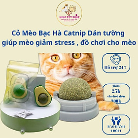 Cỏ mèo bạc hà dán tường Catnip cho mèo giúp mèo giảm stress