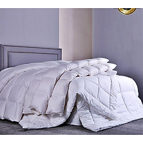 Mua Ruột chăn Microfiber lông vũ nhân tạo cao cấp  Chuẩn Khách Sạn chuẩn 5 sao -trắng Tinh khôi  mịn màng  êm ái