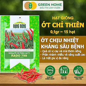 Mua Hạt Giống Gia Vị Greenhome  Nhiều Loại  Trồng Chậu  Dễ Trồng  Chịu Nhiệt  Trồng Quanh Năm  Năng Suất