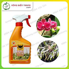 Phân Bón Lá Đầu Trâu SPRAY 2 Dạng Phun Xịt - Chai 500ml - Kích Thích Ra Hoa Cho Rau Màu và Hoa Kiểng VTNN Nông Điền Trang