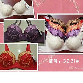 Áo lót ren hoa( đệm mỏng, có gọng- dành cho ng ngực to)
