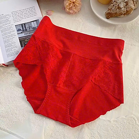 QUẦN LÓT COTTON CAO CẤP QUYẾN RŨ MỀM MẠI TỪ 45-65KG DÀNH CHO NỮ