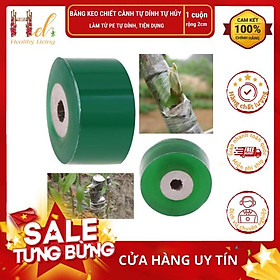 Băng Keo Ghép Cành, Chiết Cành Tự Dính Tự Hủy Rộng 2cm Dài 100m