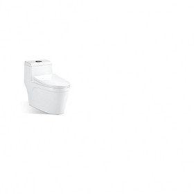 Mua Bồn cầu khối N 863
