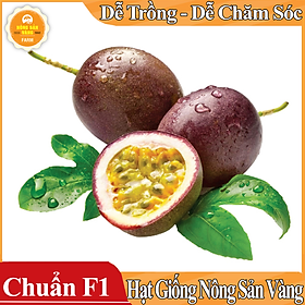 Mua Hạt giống Chanh Dây ( Gói 50 Hạt ) - Nông Sản Vàng