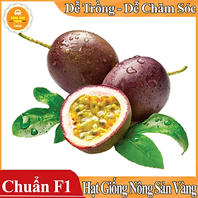 Hình ảnh Hạt giống Chanh Dây ( Gói 50 Hạt ) - Nông Sản Vàng