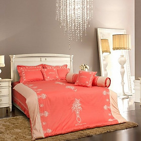 Mua Chăn Hè Cotton Everon ES1602 (2 x 2 m)