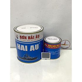 Mua Sơn Epoxy Hải Âu màu xám EP761 1L/Bộ