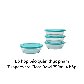 Bộ Hộp BQTP Clear Bowl 750ml Tupperware Set 4, Bộ Hộp BQTP, Kín Khí, Kín Mùi