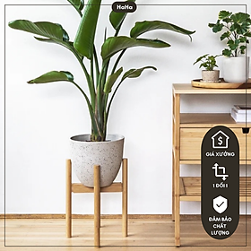 Mua Kệ gỗ chân tròn đặt cây cảnh trong nhà nhiều kích thước sơn phủ chống thấm ẩm mốc CCG03
