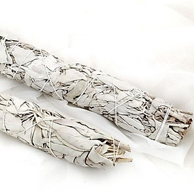 Mua Xô Thơm Trắng (White Sage) l XÔ THƠM THANH TẨY