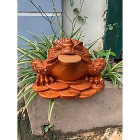 Mua Cóc thiềm thừ gỗ hương đá nam phi kt 20x16x13cm