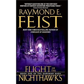 Flight of the Nighthawks (Book 1)