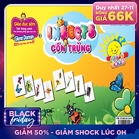 Flashcard Dạy Trẻ Theo Phương Pháp Glenn Doman - Côn Trùng