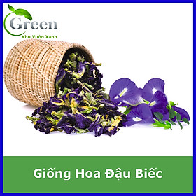 Hạt Giống Hoa Đậu Biếc (2G)