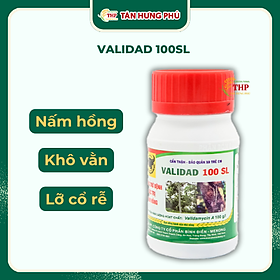 Mua Thuốc Trừ bệnh Validad 100SL 100ml