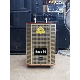 Mua Loa kéo Karaoke Bluetooth CXF GL-1215: Bass 30  Thiết kế 3 loa  Công suất 300W  Thùng gỗ chắc chắn  Có 2 Micro không dây