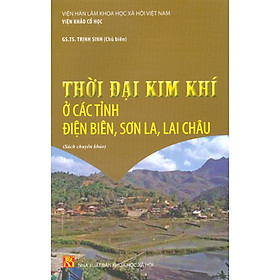 Thời Đại Kim Khí Ở Các Tỉnh Điện Biên, Sơn La, Lai Châu (Sách Chuyên Khảo)