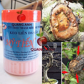 Mua Keo liền da cây - Keo liền sẹo Mỹ Tiến lọ 225GR