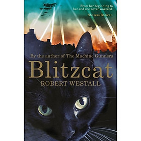 Hình ảnh sách Blitzcat