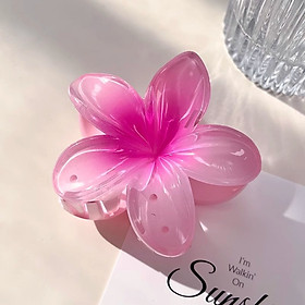 Kẹp tóc hoa sứ emijjay