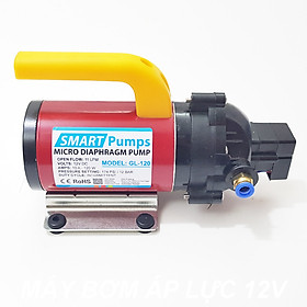 Máy bơm nước mini áp lực 12V 120W 11L Smartpumps GL-120