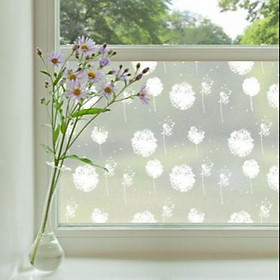 Mua Decal dán kính bồ công anh