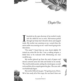 Sách ngoại văn: Cursed Fae (1) - Cold Hearted - Usborne