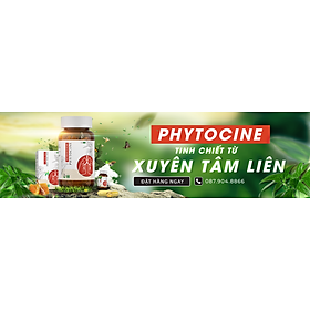 Viên NANO Xuyên Tâm Liên Phytocine 60 viên hỗ trợ viêm hô hấp