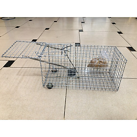 Mua Lồng bẫy chuột cửa sập siêu nhạy + tặng kèm mồi như hình