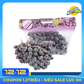 Nho Đen Pandol Mỹ - Chuẩn nho trái to căng mọng, vị ngọt đậm đà, thịt dày mọng nước