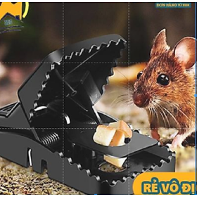 Mua Bẫy Chuột Nhựa Đen Thông Minh Hàm Cá Sấu  Bẫy Được Các Loại Chuột Nhỏ Và Vừa  Dễ Sử Dụng Và An Toàn
