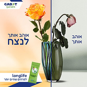 (COMBO 30 GÓI) GÓI DƯỠNG HOA TƯƠI LONGLIFE CỦA ISRAEL GIỮ HOA TƯƠI LÂU GẤP 2 LẦN VÀ 14 NGÀY KHÔNG THAY NƯỚC MỚI
