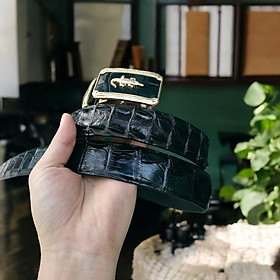 Da Lưng Cá Sấu Có Gù, Gai Và Vây Rất Đẹp