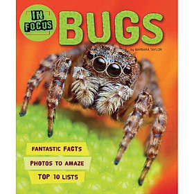 In Focus: Bugs