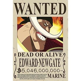 Lịch sử giá Bộ poster a4 wanted băng mũ rơm 10 nhân vật  one piece cập  nhật 72023  BeeCost